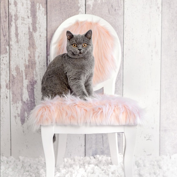 Meet your Posher, Julie - Picture 4 of 4